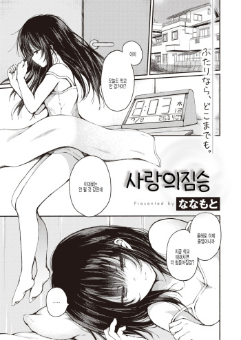[Nanamoto] Ai no Kemono | 사랑의 짐승 (COMIC X-EROS #91) [Korean] [팀 털난보리] [Digital] cover