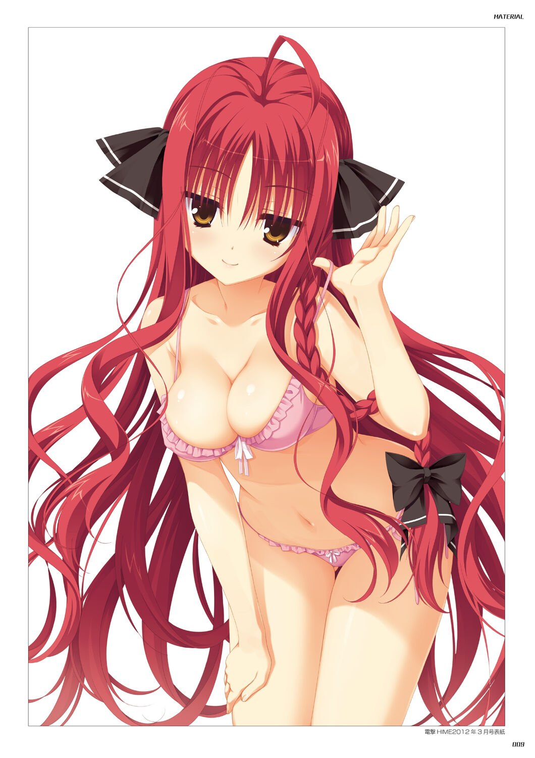 DRACU-RIOT! Official Visual Fan Book page 11 full