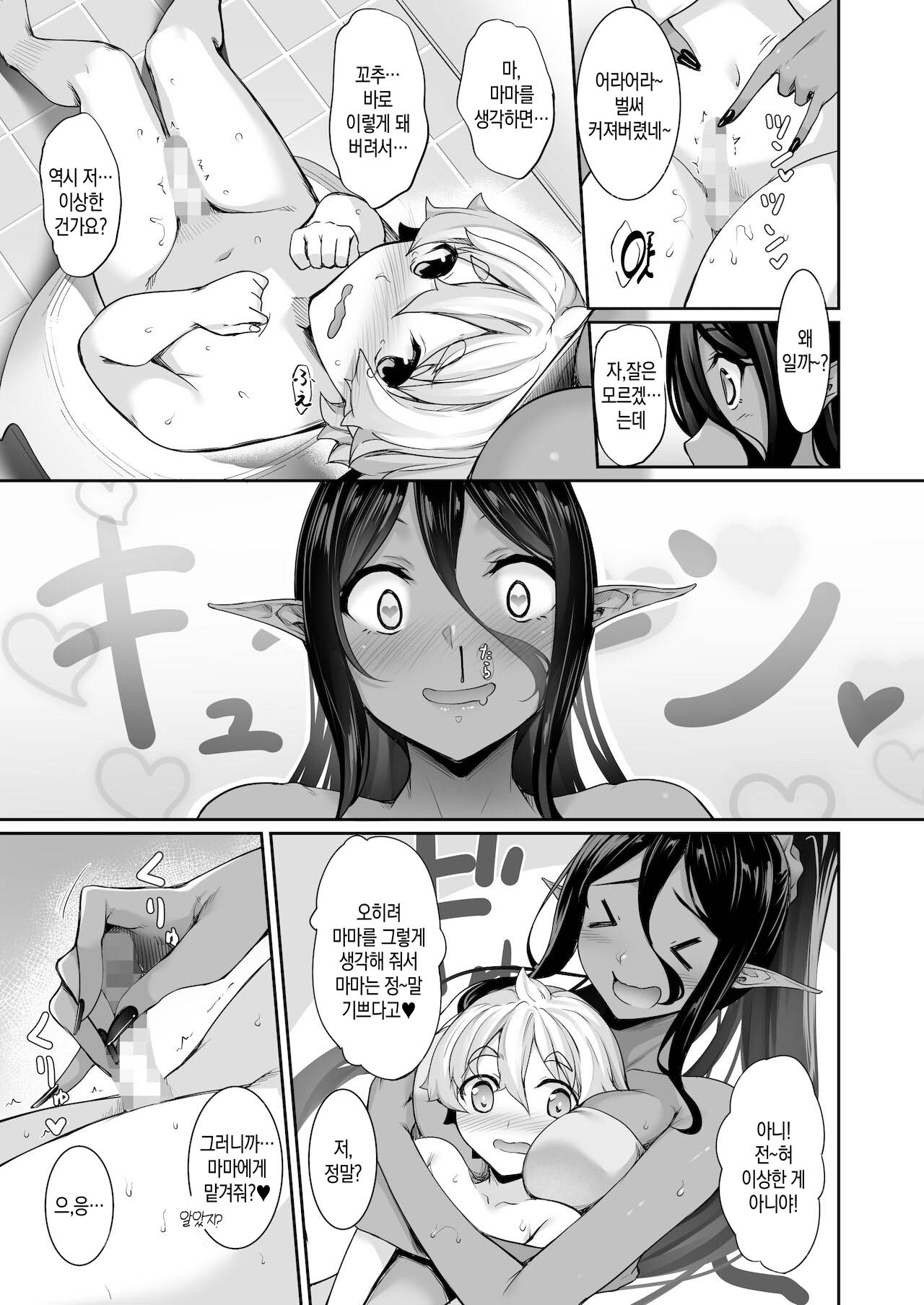 Chotto dake Ai ga Omoi Dark Elf ga Isekai kara Oikakete Kita 3 | 조금 사랑이 과한 다크엘프가 이세계에서 쫓아왔다3 page 11 full