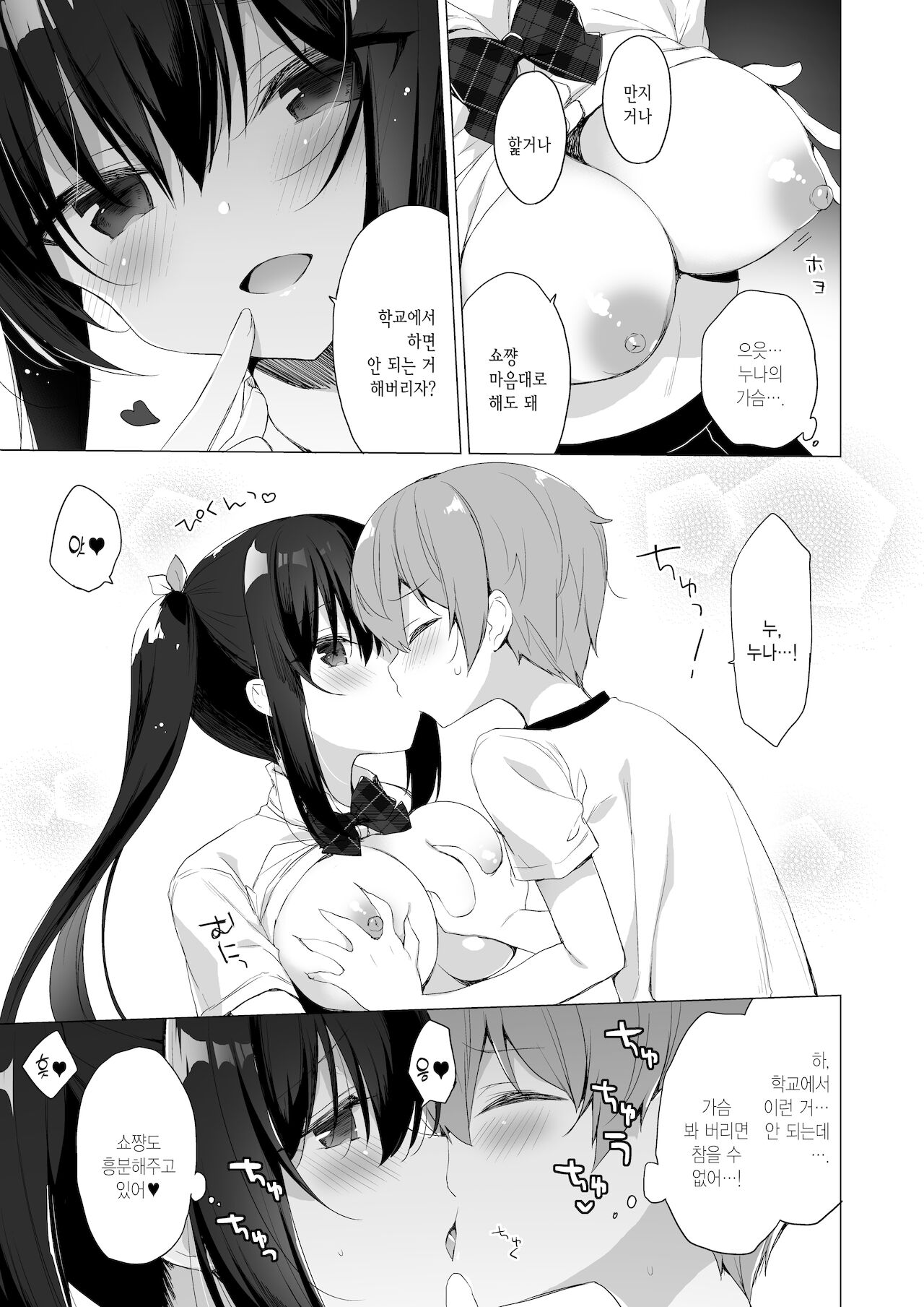 Succubus-kei Onee-chan wa Misetagari 2 | 서큐버스계 누나는 보여주고 싶어 2 page 10 full
