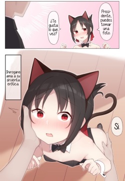 Nekomimi no Kaguya-sama
