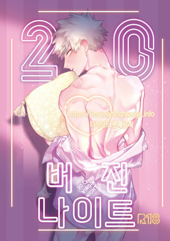 (Douyara Deban no Youda! 17) [dilemma (Yao)] 20 Virgin Night (Boku no Hero Academia) [Korean] cover