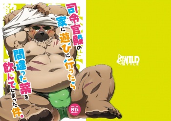[WILD STYLE (Ross)] Shireikan-dono no Ie ni Asobi ni Ittara Machigatta Kusuri o Nonde Shimatta Ken. (Tokyo Afterschool Summoners) [Digital] cover