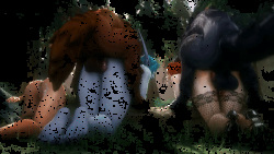 Dog Fucking With Emphasis On Dog Butt