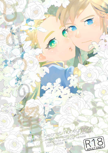 [CURSOR (Satou)]Himitsu no mitsugetsu (The Legend of Zelda) [Sample cover