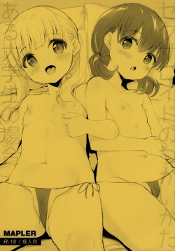 Sexaroid no Tsukaikata -Aru Daigakusei no Baai-