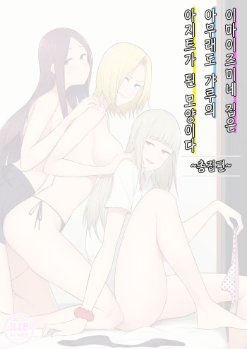 이마이즈미 총집편 cover