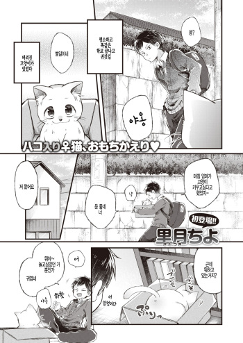 [Satotsuki Tiyo] Nyan toka Shite yo!! (WEEKLY Kairakuten 2021 No.21) [Korean] [팀 털난보리] cover