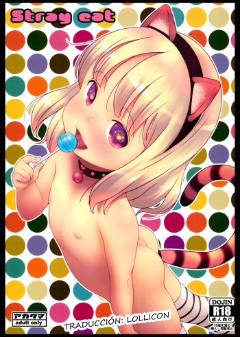 (C96) [Akatama (Sakurafubuki Nel)] Stray cat [Spanish] cover