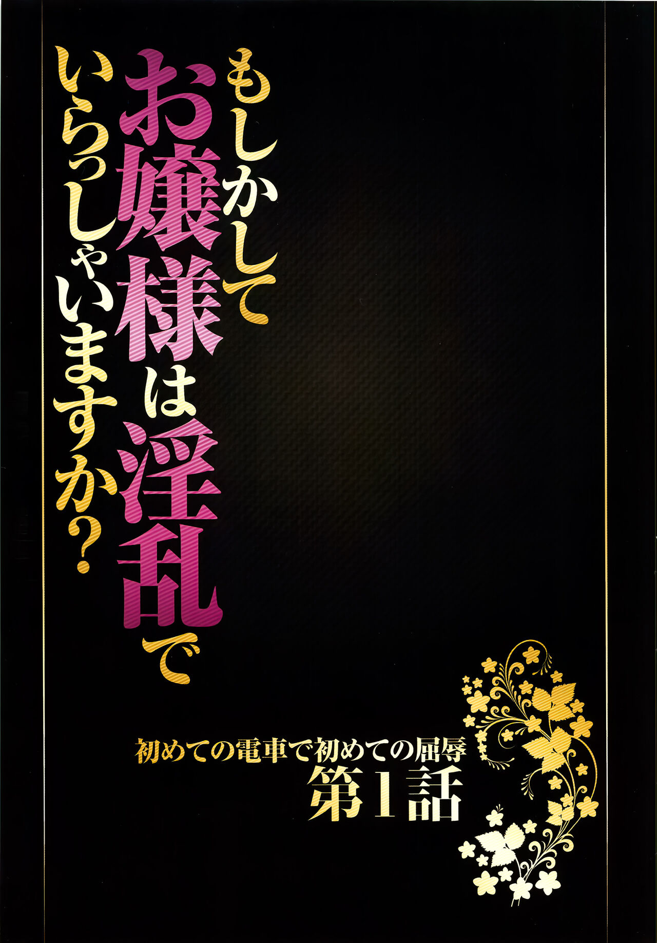 Muriyari Okasarete Konna ni Kanjite Shimawareru Nante… Moshikashite Ojousama wa Inran de Irasshaimasuka? page 10 full