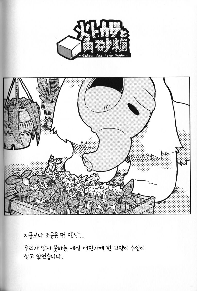 불도마뱀과 각설탕 page 2 full