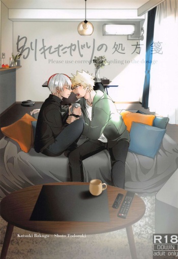 [【；ef】] wakaretagarinoshohosen (bokunohiroakademia) cover