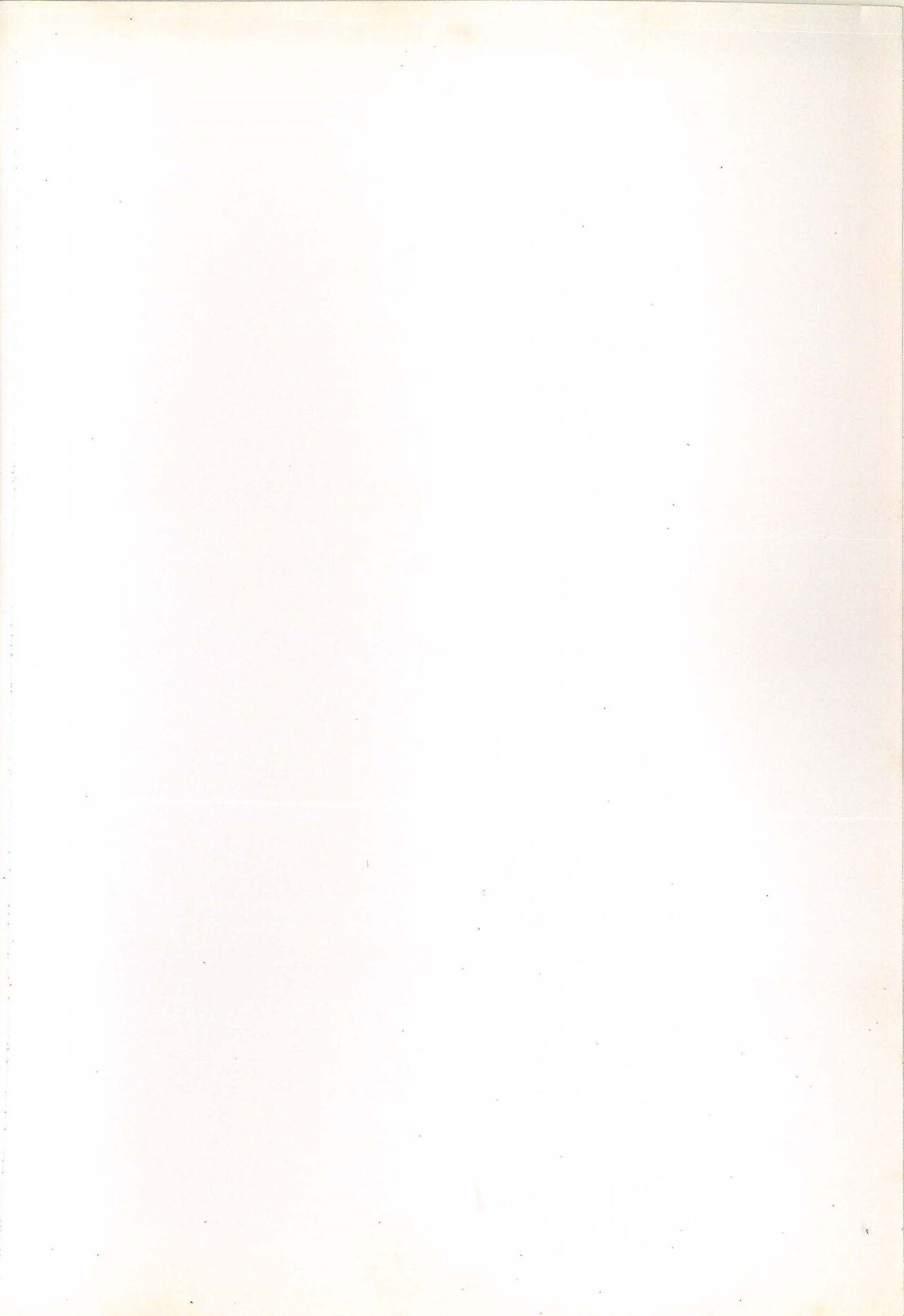 Touhou Shoujo Publication Number II page 2 full