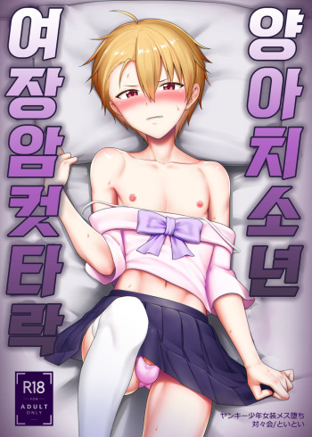 [Toitoikai (Toitoi)] Yankee Shounen Josou Mesu Ochi | 양아치소년 여장 암컷타락 [Korean] cover