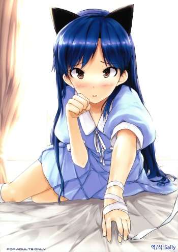 (Aoi Utahime -BLUE DIVA-) [Asterism (Asterisk)] chihyanyan peropero 2 (THE IDOLM@STER) [Korean] [Sally] cover