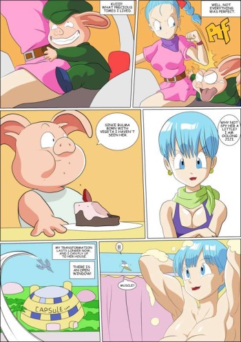 (zetarok) Bulma Comic Lower Res cover