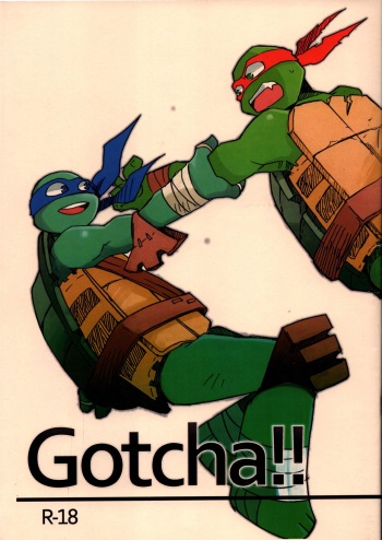 [Youkan] Gotcha!! (Teenage Mutant Ninja Turtles) cover