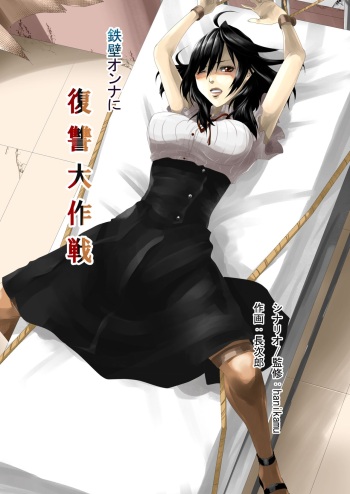 [ハニカムの遊技場]鉄壁オンナに復讐大作戦 cover
