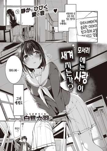 [Shirasagi Rokuwa] Kado ni wa Ai ga Yadoru no ka? | 모서리에는 사랑이 새겨지는가? (COMIC Kairakuten BEAST 2019-11) [Korean] [팀 털난보리] [Digital] cover