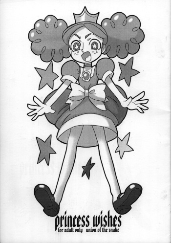 (C72) [UNION OF THE SNAKE (Shinda Mane, KENICHI. T)] princess wishes (Powerpuff Girls Z) cover