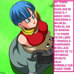 BULMA Y PETISA SAGA MAJIN BU