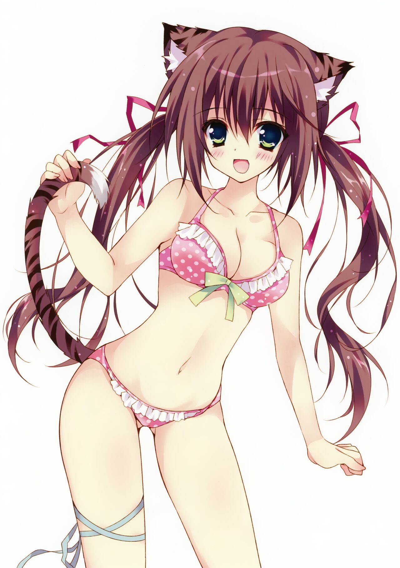Toranoana Chronicle 2012 page 11 full