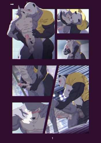 [Raccoon21] BEASTARS comic (BEASTARS) cover