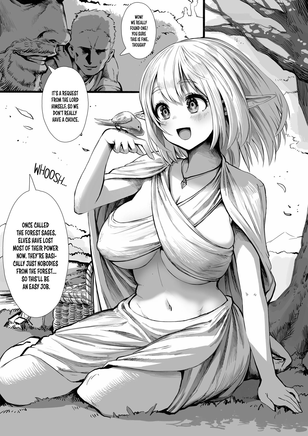 Elf's Past page 1 full