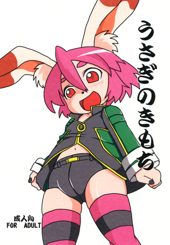 [R．R管制塔] うさぎのきもち cover