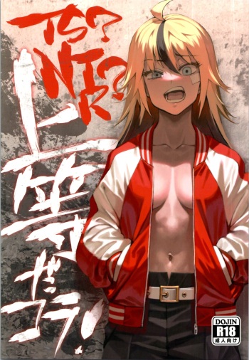 (C99) [Dokudami (Okita Ababa)] TS? NTR? It ’s fine! cover