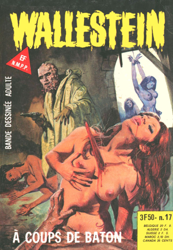 Wallestein 017 - A coups de baton [French] [PJP] cover