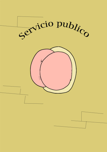 servicio publico cover