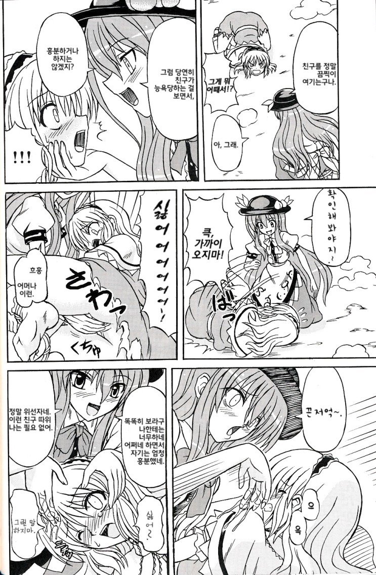 Touhou Youjo Ranbu 9 | 동방 요녀 난무 9 page 11 full